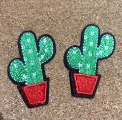 刺繍　ワッペン　サボテン　カクタス　2枚セット　アップリケ