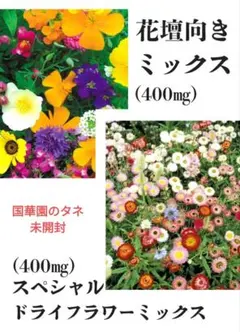 uchan様 リクエスト 2点 まとめ商品