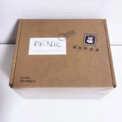 TXT Panic ボムギュ アルバム 新品未開封