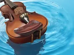 Item thumbnail for item d2fd7e0f-04d5-4058-a84c-3a50819f887c