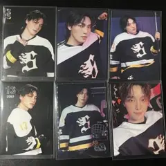 2025 HOME DINO ディノ トレカ　セット