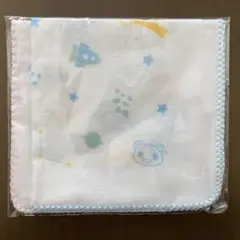 Item thumbnail for item 52c0edaf-6ea1-481c-9b5e-4c9e70adb208