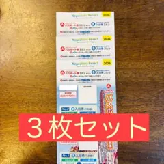 ナガシマスパーランド　パスポート券　3名分のサムネイル