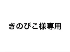 きのぴこ様専用ページカード2枚セット