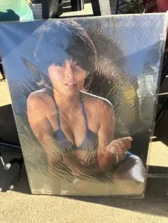 Item thumbnail for item 0c4f0838-9e3a-4be9-85b5-c0ed0c108d1d