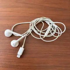 Apple EarPods with Lightning Connector