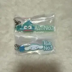 #ハッシュタグつける　サンリオキャラクターズ3 シナモロール　ハンギョドン