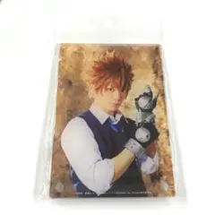 【沢田綱吉】アクリルボード 家庭教師ヒットマンREBORN!