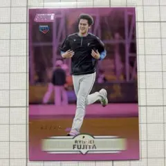 藤田琉生　toppsスタジアムクラブ2025 75枚限定