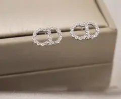 CD ロゴ　ピアス　Diorお好きの方へ