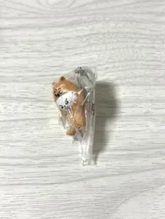 スキズ SKZOO つまんでつなげてマスコット リービット クォッカ