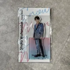 【新品未開封】SnowMan アクリルスタンド 渡辺翔太