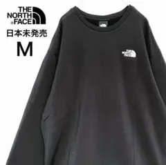 【美品】ノースフェイスM メンズウールトレーナー 裏起毛 ブラック黒