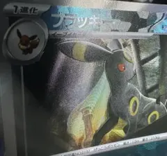 2026年最新】ブラッキー マスターボール エラーの人気アイテム - メルカリ