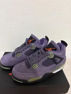 Air Jordan 4 Retro SE Canyon Purple