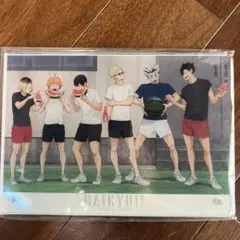 【未開封】ハイキュー アクリルパネル セブンネット限定 合宿 スイカ