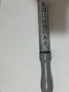 原因は自分にある。カラチェン ペンライト ver4のサムネイル