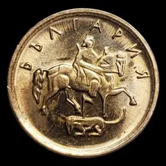 虎一様 リクエスト 5点 まとめ商品