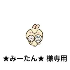★みーたん★様専用