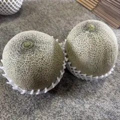 北海道アサヒメロン 