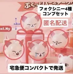 skzoo ぷくっとバースデークリアリング フォクシニー 4種 コンプ