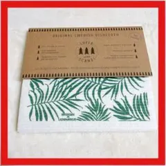 Item thumbnail for item 484b118f-fb06-4a58-b526-fa1d9679dc5d