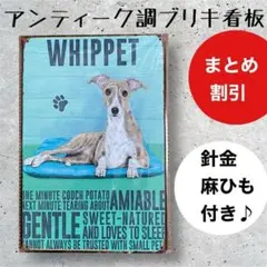 Item thumbnail for item 5a8150a6-c99f-4caa-9fa3-a333c897bbe6