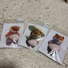 お腹ぷくぷくシール　３枚入