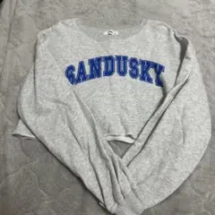 WEGO SANDUSKYロゴ トレーナー Mサイズ