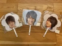 【有岡大貴】手のひらサイズ　ライブうちわ　2010-2011　3枚セット