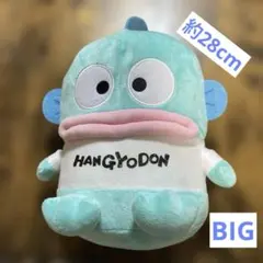 ハンギョドン おなまえ Tシャツ BIG ぬいぐるみ