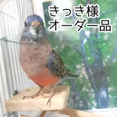 きっき様オーダー品 シンプルとまり木セット