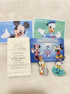 東京ディズニーリゾート　ピンバッジ　ファストパス