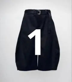 26ss チノ　sacai cotton chino pants shortsのサムネイル