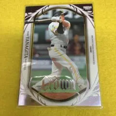 2026年最新】Bbm 2024 crownの人気アイテム - メルカリ