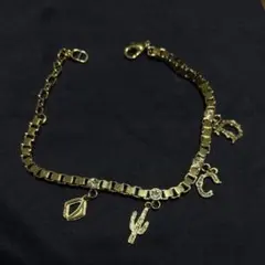 DIOR Travis Scott CACTUS JACKのサムネイル