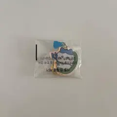 ちいかわ　韓国限定　キーホルダー　ハチワレ