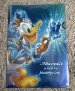 ドナルド A4ファイル ディズニーシー 15周年