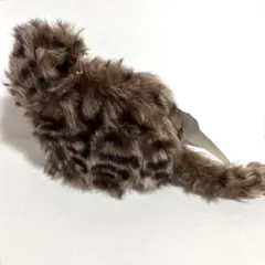 ジェラートピケ キャット　猫　エコファーミニポーチ