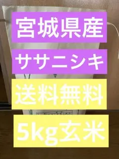 宮城米 ササニシキ 5kg玄米　送料込みのサムネイル