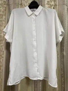 Item thumbnail for item 69056f21-31cf-496e-b9a8-c5a7bd3feec0