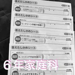 田中ビネー知能検査V 検査進行シート3歳級〜12歳級セット - メルカリ