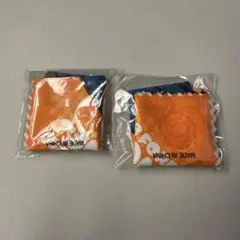 三代目 NAOTO JSBFOREVER カプセルトイ マルチクロス 2枚セット