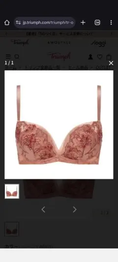 。コスモス様。。Triumph、天使のブラノンワイヤー、D75サイズ。