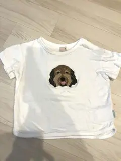 petit main半袖Tシャツ90cm