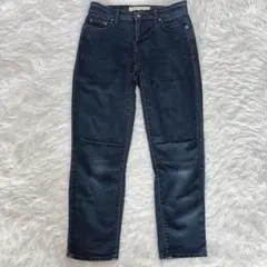 GAP ギャップ デニム ジーンズ 25インチ レディース S相当
