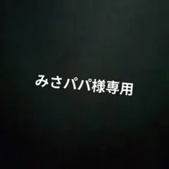 【みさパパ様専用】トドロクツキexデッキパーツまとめ売り