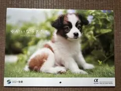 Item thumbnail for item 15a5ae46-126e-40ee-80ee-fd9900542ca0