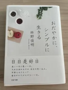 Item thumbnail for item 4e3fa4bd-30c0-4618-8bee-975a9f5fa0d0