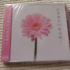羽毛田丈史 Sweet CD アルバム - メルカリ